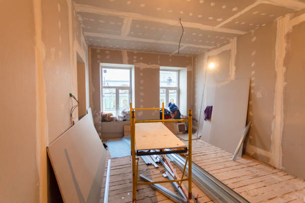 Professional Mold Removal in Hudson Lake, IN